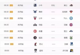 10月31日10：30CNTV视频直播NBA：小牛VS湖人_体育台_中国网络电视台